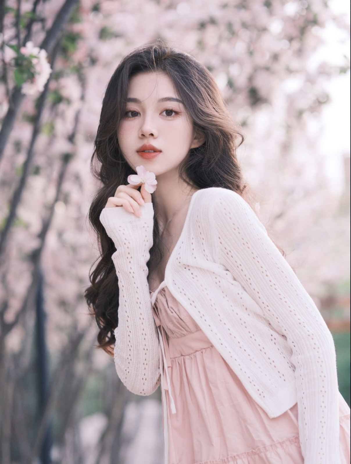 专属女友：北北 hh.png